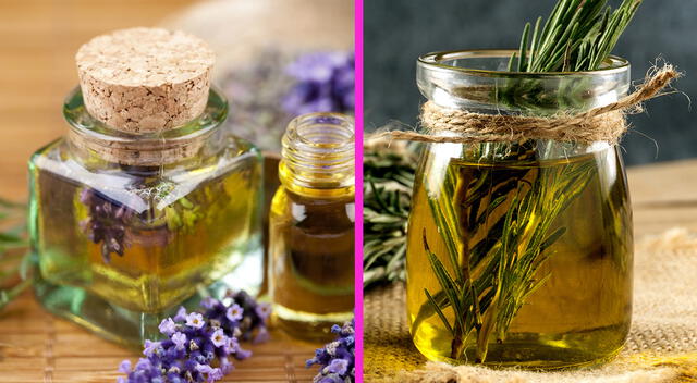 Aceite de lavanda y romero.