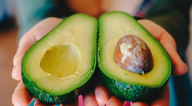 Palta