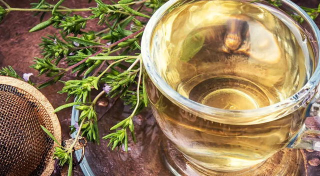 Infusión de orégano