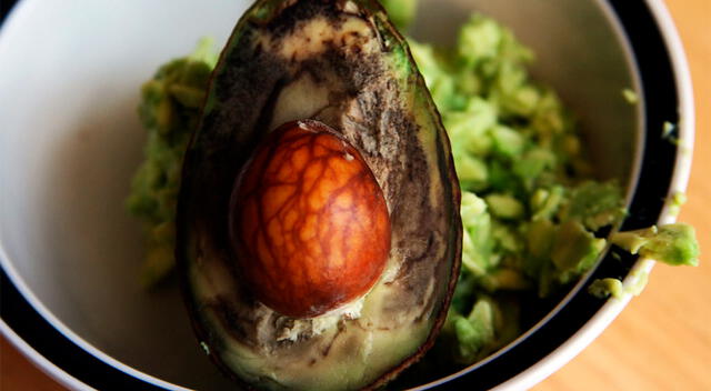 Uno de los errores más comunes es guardar la palta de manera inadecuada, lo que provoca que se oxide rápidamente. Uno de los errores más comunes es guardar la palta de manera inadecuada, lo que provoca que se oxide rápidamente.