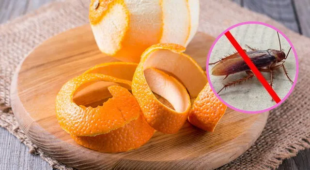 Cáscara de naranja