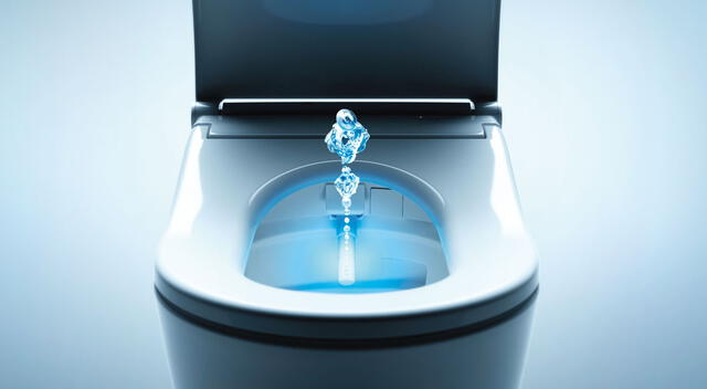 Los washlets son beneficiosos para la salud. Los washlets son beneficiosos para la salud.