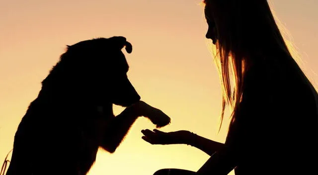 Duelo por una mascota Duelo por una mascota