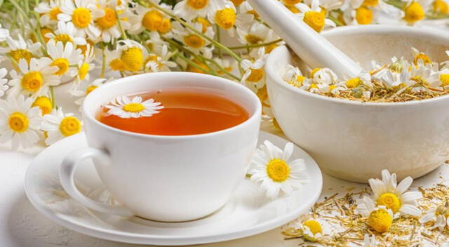 La manzanilla es una de las plantas medicinales más antiguas y valoradas en la medicina natural. La manzanilla es una de las plantas medicinales más antiguas y valoradas en la medicina natural.