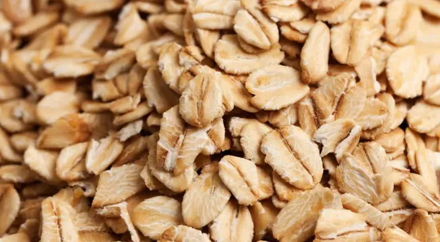 Avena Avena