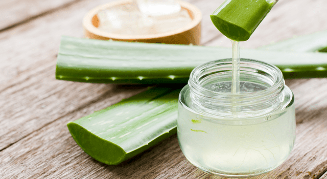 El aloe vera se ha empleado durante miles de años para tratar diversas afecciones de salud.