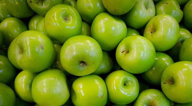 Manzana Manzana
