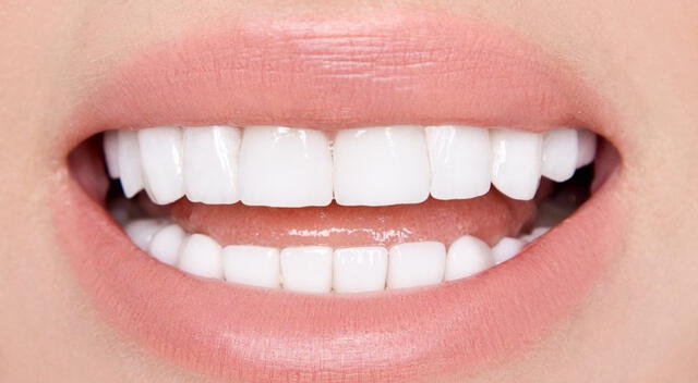 Una dieta rica en calcio desde temprana edad puede prevenir la pérdida de dientes en la adultez, según especialistas en salud bucal. Una dieta rica en calcio desde temprana edad puede prevenir la pérdida de dientes en la adultez, según especialistas en salud bucal.