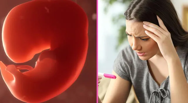 Aborto Aborto