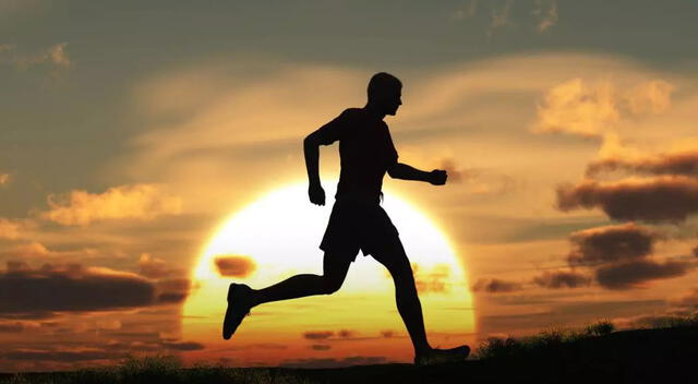 Entrenar Entrenar