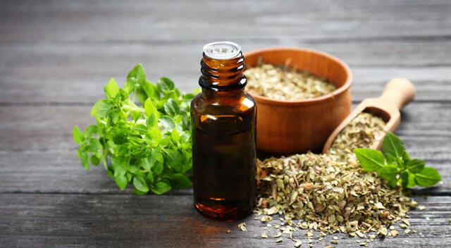 El orégano, una hierba con propiedades antioxidantes y antimicrobianas, es un aliado natural para fortalecer el sistema inmunológico. El orégano, una hierba con propiedades antioxidantes y antimicrobianas, es un aliado natural para fortalecer el sistema inmunológico.