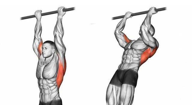 Las dominadas supinas son uno de los ejercicios más eficaces para trabajar espalda, bíceps y pecho, según el Dr. Pak Androulakis-Korakakis.