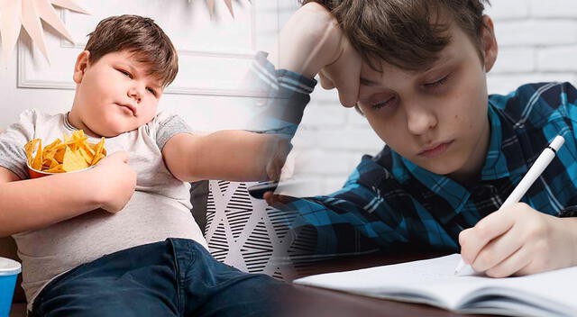 Niños con acceso limitado a alimentos nutritivos enfrentan mayores riesgos en su desarrollo físico y cognitivo.