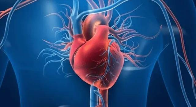 Es importante aumentar la intensidad y duración del entrenamiento de forma progresiva para evitar lesiones y mejorar la capacidad cardiovascular.