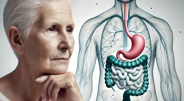 La ralentización del tránsito intestinal es común en adultos mayores, lo que puede provocar estreñimiento y malestar digestivo.
