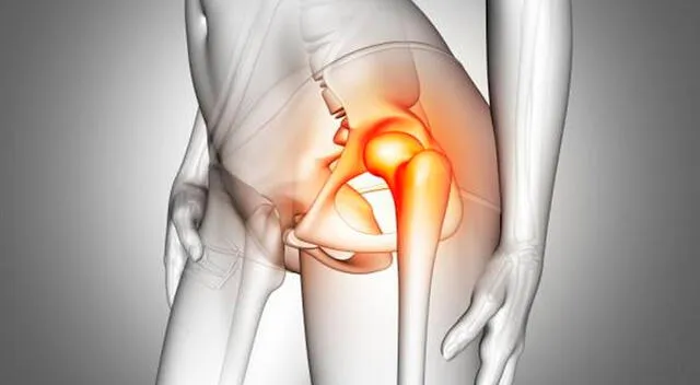 El uso de bandas elásticas en la rotación externa activa los músculos profundos de la cadera, clave para un mejor rendimiento físico. El uso de bandas elásticas en la rotación externa activa los músculos profundos de la cadera, clave para un mejor rendimiento físico.
