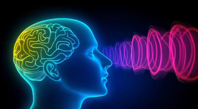 Cerebro Cerebro