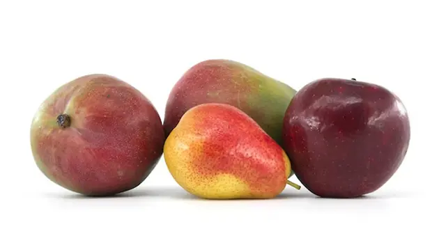 Alimentos