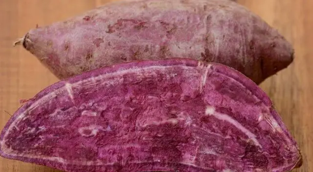 Estudio revela que el extracto de cáscara de camote morado podría retrasar la aparición de tumores en modelos experimentales. Estudio revela que el extracto de cáscara de camote morado podría retrasar la aparición de tumores en modelos experimentales.