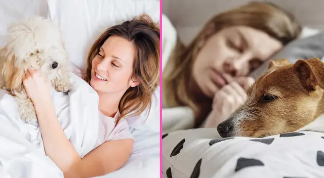 Dormir con tu perro Dormir con tu perro