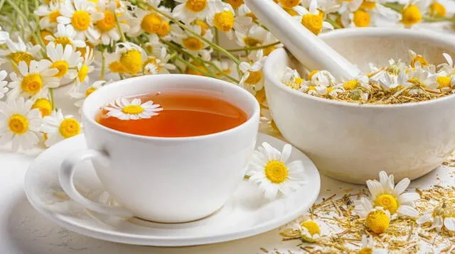 Las infusiones digestivas con anís, menta o manzanilla son una alternativa natural para aliviar la pesadez y mejorar la digestión. Las infusiones digestivas con anís, menta o manzanilla son una alternativa natural para aliviar la pesadez y mejorar la digestión.