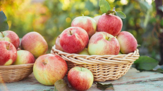 El consumo regular de manzanas puede contribuir a la prevención de enfermedades crónicas. El consumo regular de manzanas puede contribuir a la prevención de enfermedades crónicas.