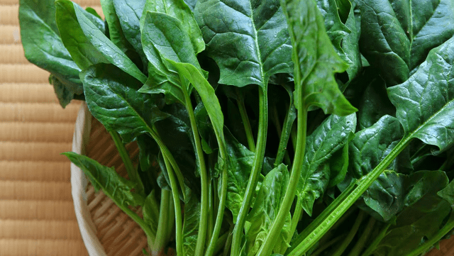 La espinaca y la acelga son verduras de hoja verde con alto contenido de oxalatos, compuestos que pueden aumentar el riesgo de cálculos renales en personas sensibles. La espinaca y la acelga son verduras de hoja verde con alto contenido de oxalatos, compuestos que pueden aumentar el riesgo de cálculos renales en personas sensibles.