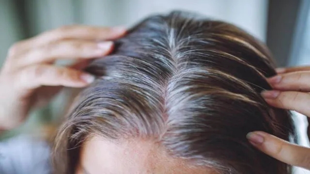 Aplicar esta mezcla casera con café una o dos veces por semana ayuda a oscurecer el cabello progresivamente y de forma segura. Aplicar esta mezcla casera con café una o dos veces por semana ayuda a oscurecer el cabello progresivamente y de forma segura.