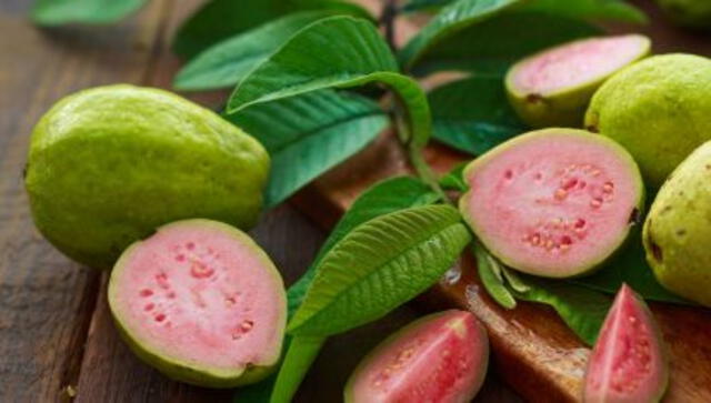 La hoja de guayaba contiene una molécula con potencial para combatir el cáncer de hígado, según un estudio reciente. La hoja de guayaba contiene una molécula con potencial para combatir el cáncer de hígado, según un estudio reciente.