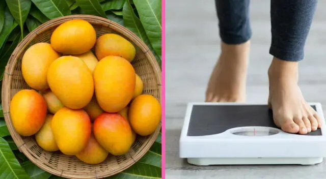 Las hojas de mango ayudan a controlar la glucosa y el peso. Las hojas de mango ayudan a controlar la glucosa y el peso.