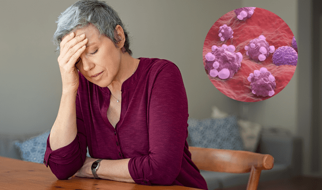 Por eso, controlar el peso y mantener una cintura saludable es una estrategia esencial para proteger el corazón durante la menopausia. Por eso, controlar el peso y mantener una cintura saludable es una estrategia esencial para proteger el corazón durante la menopausia.