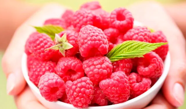 Distintas investigaciones coinciden en que el consumo regular de frambuesas ayuda a controlar los niveles de glucosa. Distintas investigaciones coinciden en que el consumo regular de frambuesas ayuda a controlar los niveles de glucosa.