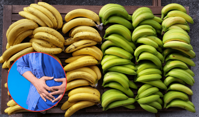 Incluir plátano verde en la dieta diaria puede favorecer la microbiota y reducir la inflamación del colon, según expertos. Incluir plátano verde en la dieta diaria puede favorecer la microbiota y reducir la inflamación del colon, según expertos.