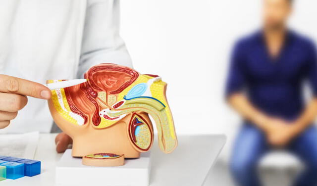 Los avances en cáncer de próstata no serían posibles sin el respaldo de una red global de investigación y alianzas estratégicas. Los avances en cáncer de próstata no serían posibles sin el respaldo de una red global de investigación y alianzas estratégicas.