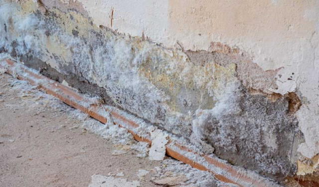 El salitre en las paredes es una señal de humedad persistente; con este truco casero puedes eliminarlo fácilmente.