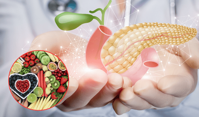 Mantener un páncreas sano con la ayuda de estas bebidas puede reducir el riesgo de desarrollar enfermedades como la diabetes tipo 2. Mantener un páncreas sano con la ayuda de estas bebidas puede reducir el riesgo de desarrollar enfermedades como la diabetes tipo 2.