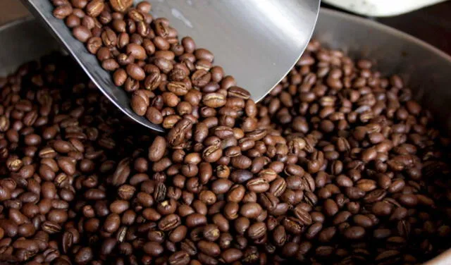 El café molido puede actuar como un tinte natural para cubrir las canas y dar brillo al cabello sin químicos agresivos. El café molido puede actuar como un tinte natural para cubrir las canas y dar brillo al cabello sin químicos agresivos.