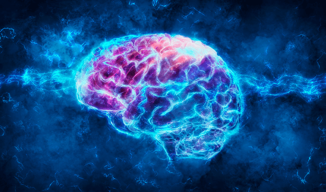 Las reacciones impulsivas y agresivas pueden tener una base neurobiológica relacionada con desequilibrios en regiones clave del cerebro. Las reacciones impulsivas y agresivas pueden tener una base neurobiológica relacionada con desequilibrios en regiones clave del cerebro.