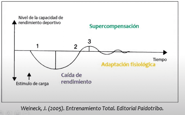 Conoce cómo funciona el rendimiento deportivo. Foto: difusión Conoce cómo funciona el rendimiento deportivo. Foto: difusión