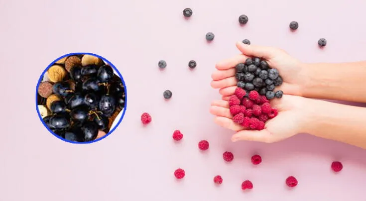 Los flavonoides son más que antioxidantes.