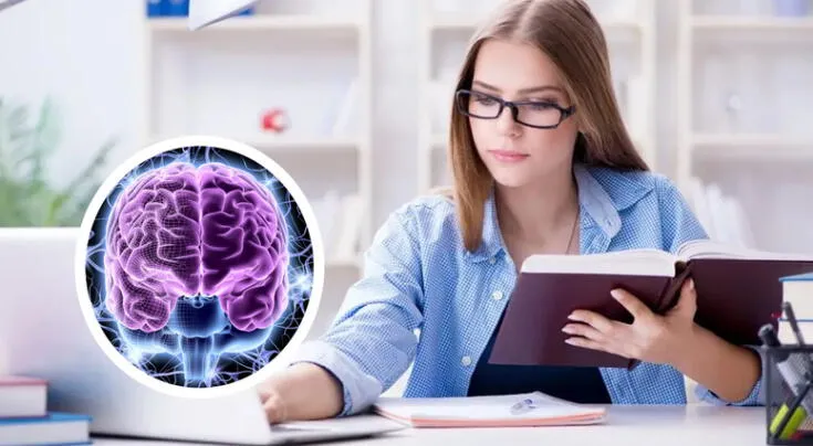 Esto dice la ciencia sobre el funcionamiento de nuestro cerebro en el aprendizaje.