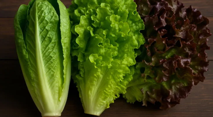 No todas las hojas verdes son iguales: descubre cuál le da más bienestar a tu cuerpo.