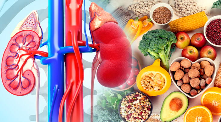 Estos son los seis alimentos que ayudan a limpiar los riñones de forma natural.