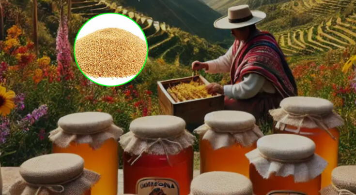 Sorpréndete con los beneficios para la salud de la miel y la granola andina.