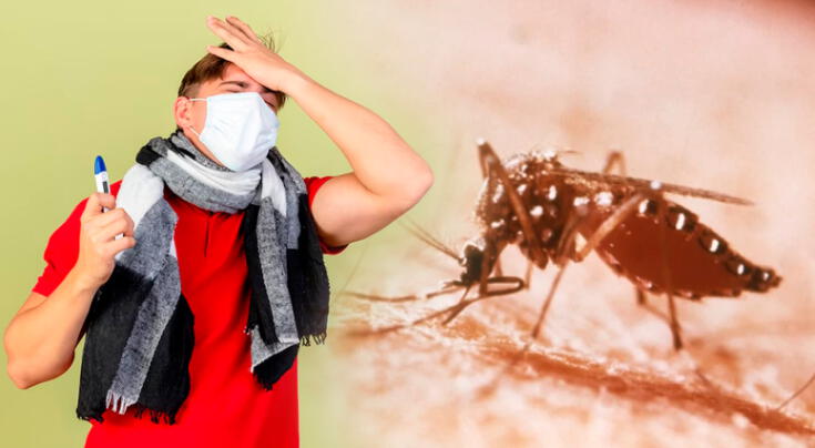 Descubre los síntomas más comunes y peligrosos de la fiebre amarilla.