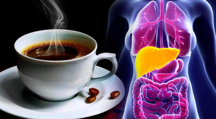 Cómo el café puede ayudar a reducir la gravedad del hígado graso en diabéticos.