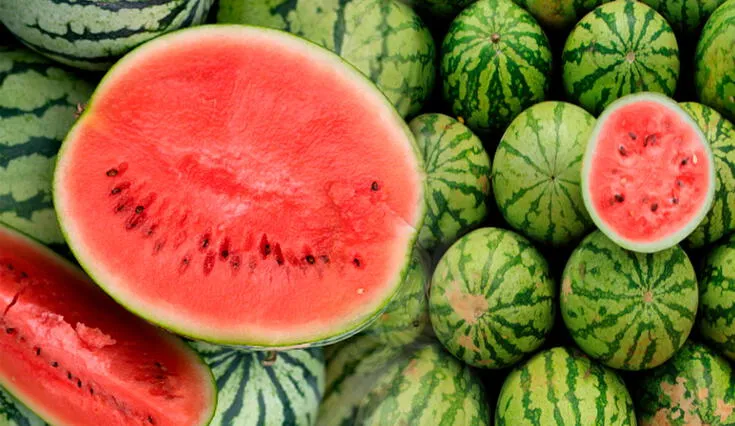 Descubre si la sandía es buena para tu salud.