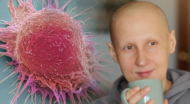 Científicos hallan proteína clave que podría frenar el desarrollo de tumores.