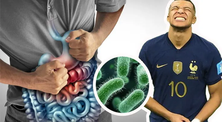 Conoce qué es la gastroenteritis.
