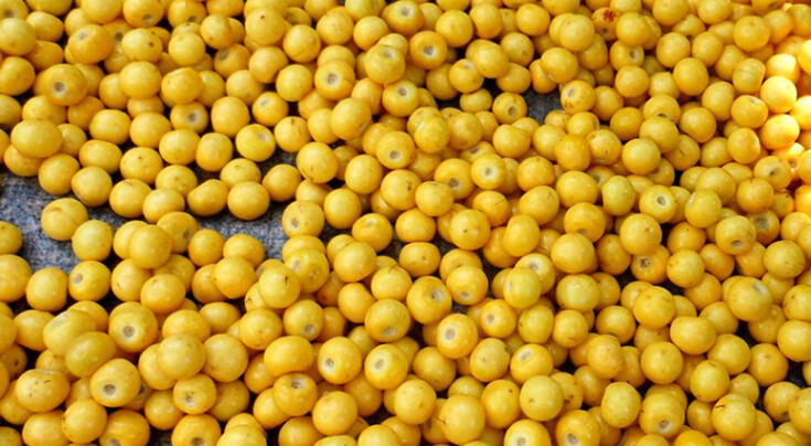 El "oro amarillo" que rejuvenece tu piel: La fruta que combate arrugas y estimula el colágeno
